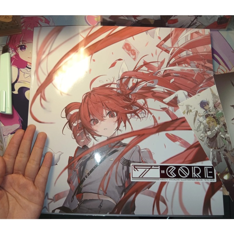 カサネテト アートワーク イラストコレクションブックレット  - Anime Merchandise In Chinese のレビューと価格
